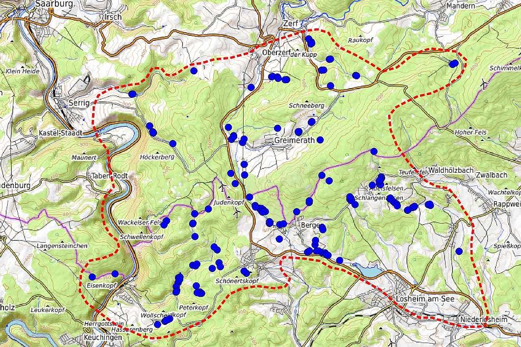 large_Moorglöckchen_Areal_Saar_Ruwer_Hunsrück.jpg